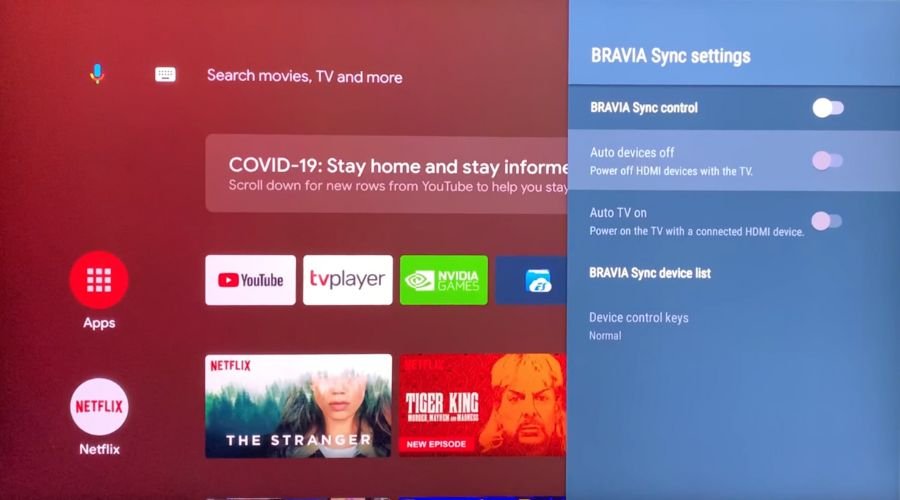 Bravia sync hot sale