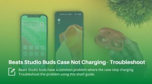 Beats Studio Buds Case Not Charging