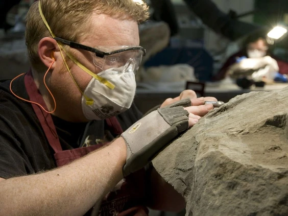 “Dinosaur Mummy” an Extraordinarily Preserved Nodosaur With Skin & Guts Intact Found