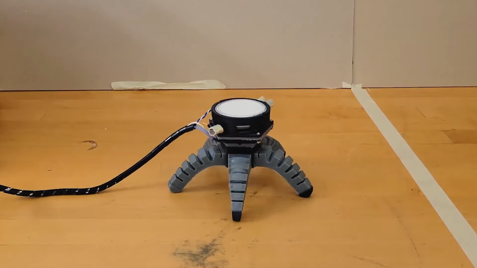 Engineers Give Mushroom a Robot Body and Let It Roam…