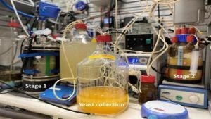 Scientists Use Tiny Organisms to Create Nutrients From Thin Air With More Protein Than Beef