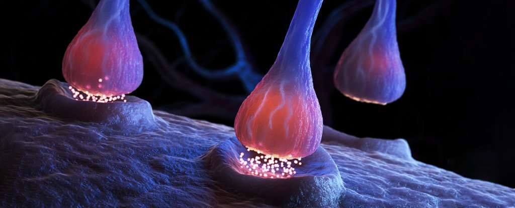 Antidepressants Could Change Your Brain in a Way You Didn’t Expect—Here’s How