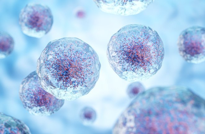 Scientists Find Creatures Existing in an Surprising 'Third State' Beyond Life and Death