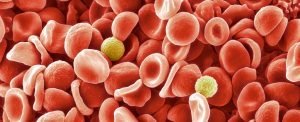After 50 Years of Research, Scientists Make a…