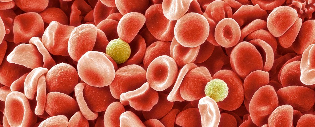 After 50 Years of Research, Scientists Make a Surprising New Blood Group Discovery
