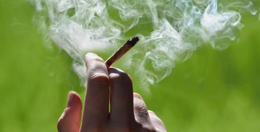 Cannabis Use Skyrockets Across the US – But Teens Aren’t the Ones Smoking