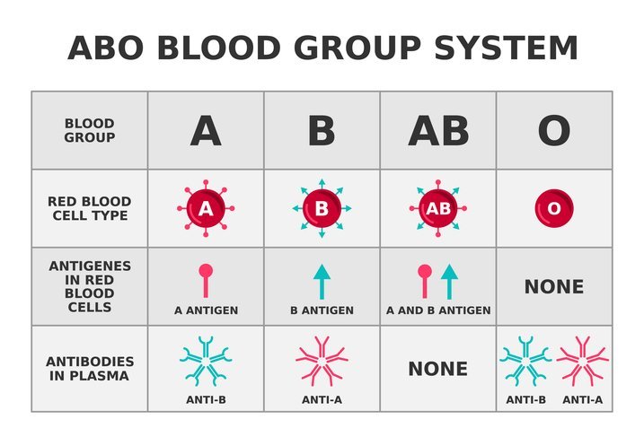 After 50 Years of Research, Scientists Make a Surprising New Blood Group Discovery