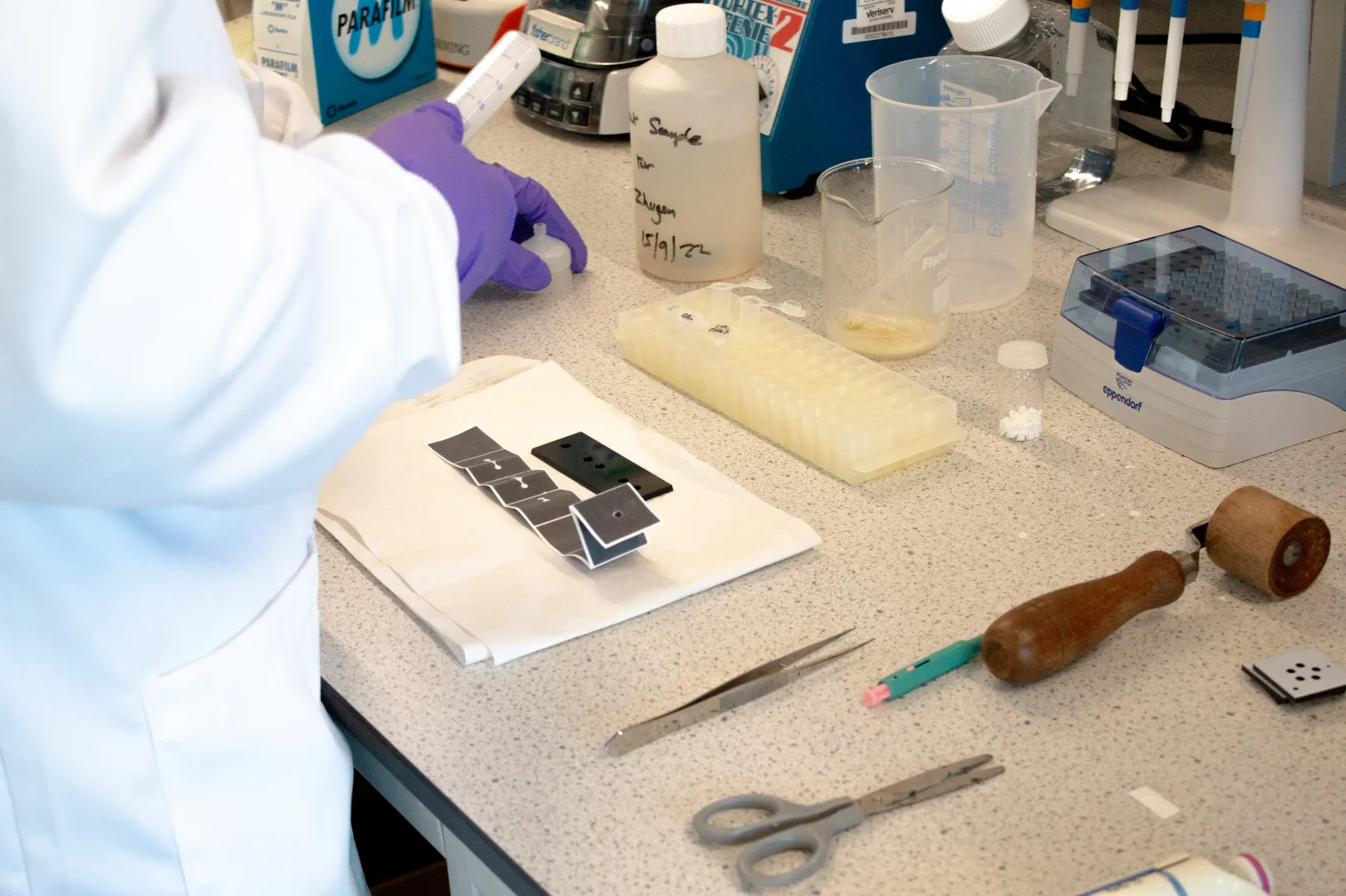 Scientists Use Gallium to Destroy ‘Greedy’ Cancer Cells with Near-Perfect Accuracy