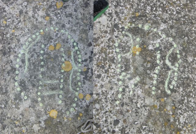 This Ancient Discovery Might Actually Be A Board Game From 4,000 Years Ago