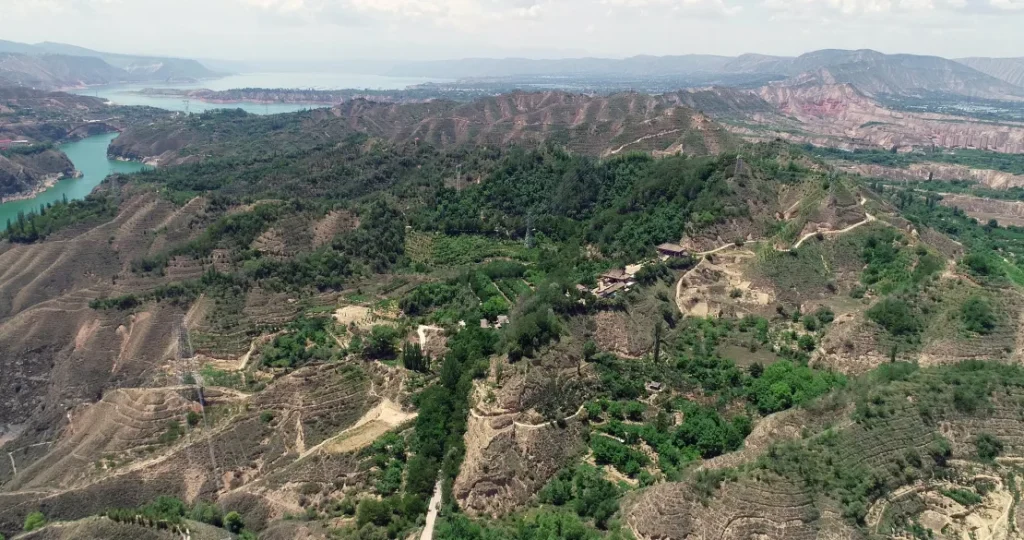 Dutch engineer wants to transform sinai peninsula desert using saltwater resistant plantation