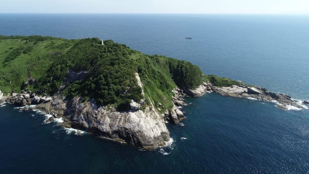 This Snake Island Became Home to 4,000 of the World's Deadliest Snakes, No Human Allowed