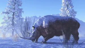 Unbelievably Intact Woolly Rhino Mummy Found After 32,400 Years in Russian Ice