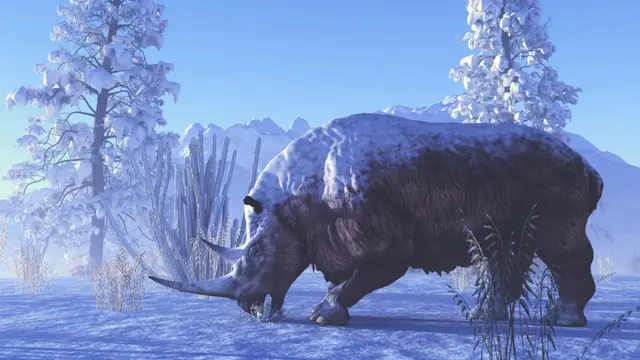 Unbelievably Intact Woolly Rhino Mummy Found After 32,400 Years in Russian Ice