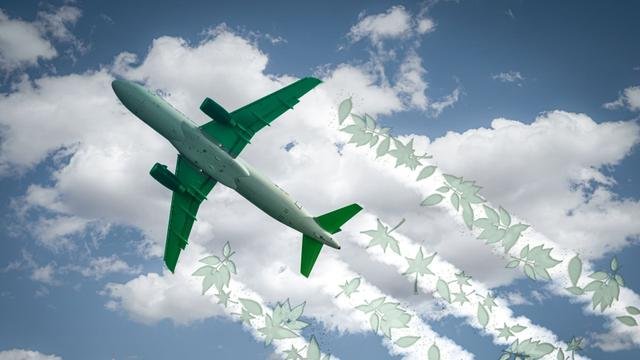 US Scientists Are Using Corn Waste for Jet Fuel—Here’s How Sustainable It Actually Is