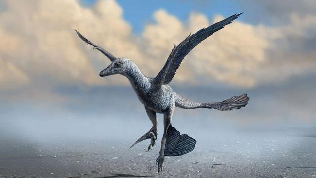 Footprints Of A Bird-Sized Dinosaur Suggest It Used Its Wings For Faster Running
