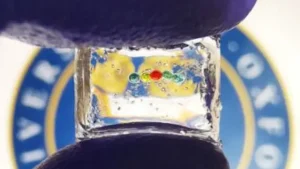 Oxford Develops World’s Smallest Lithium Bio-Battery to Power…