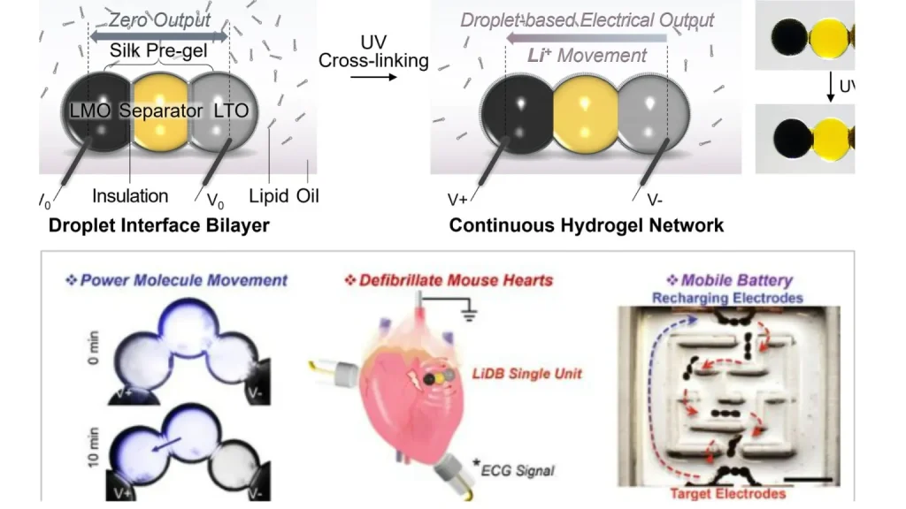 Oxford Develops World’s Smallest Lithium Bio-Battery to Power Implants