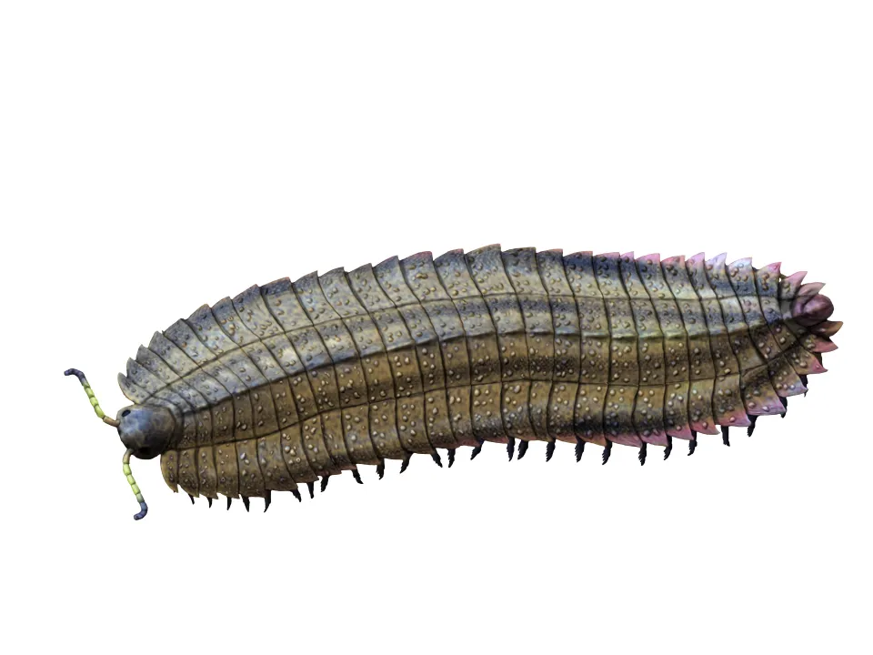 Scientists Finally Reveal the Head of a 340-Million-Year-Old Car-Sized Bug