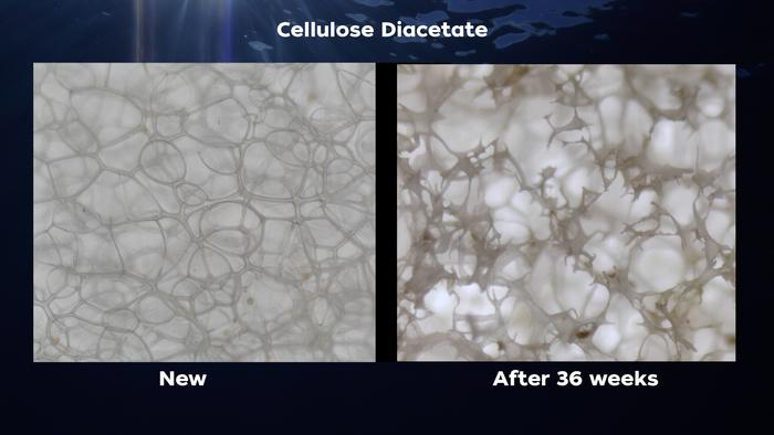 New Plastic Created by Scientists Degrades 15 Times Faster Than Paper in Seawater