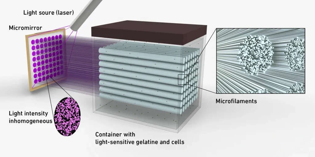 3D Laser Bioprinter Designed to Grow Real Human Tissues to Replace Animal Testing