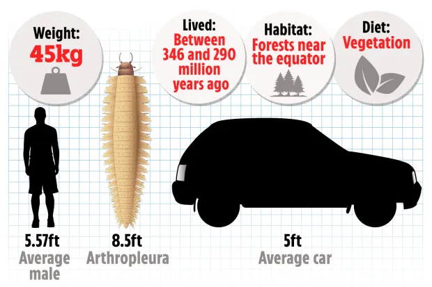 Scientists Finally Reveal the Head of a 340-Million-Year-Old Car-Sized Bug