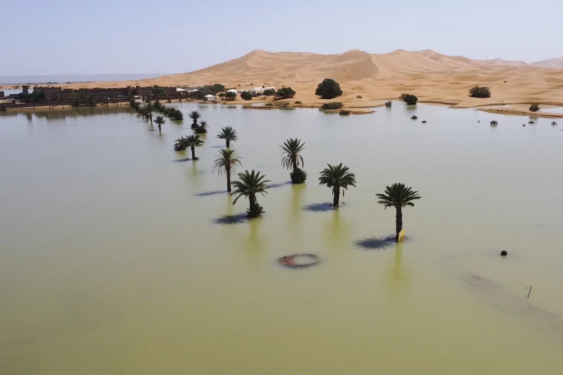 It Just Rained in the Sahara, and No one Knows What’s Going on With the Climate