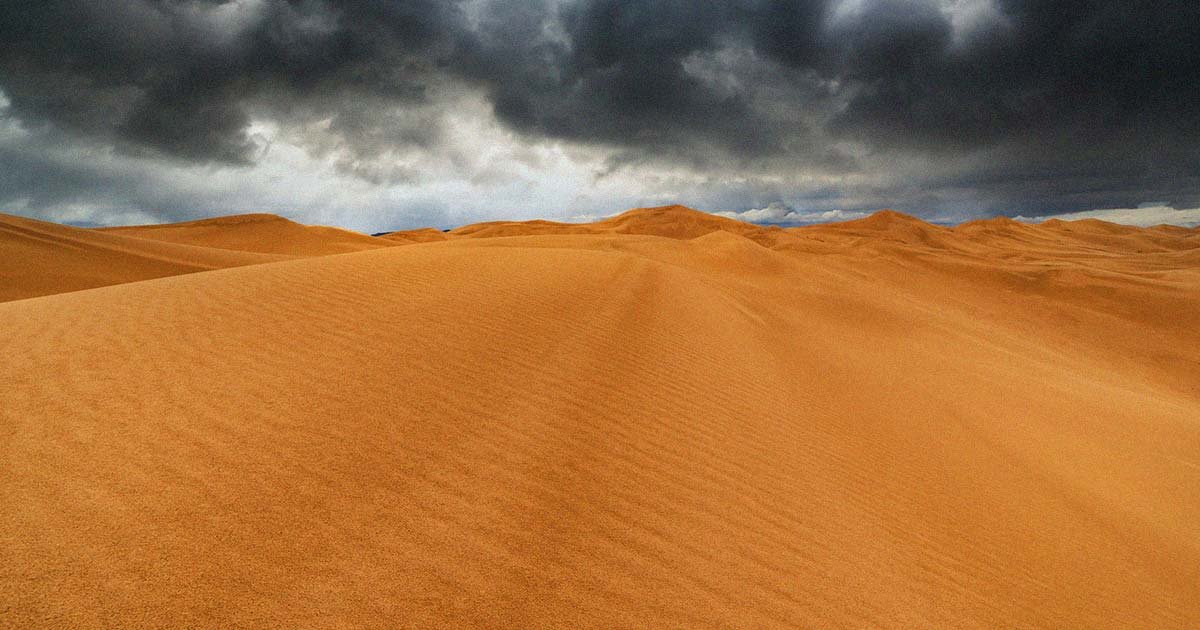 It Just Rained in the Sahara, and No one Knows&hellip;