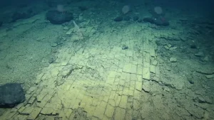 There’s a Weird ‘Yellow Brick Road’ Right at the Bottom&hellip;