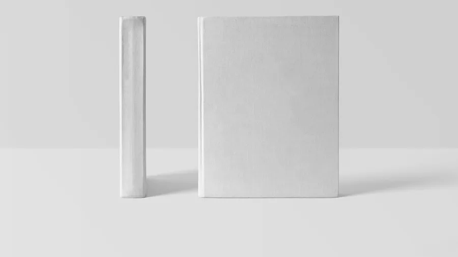 The Back-Cover Blurb Prompt