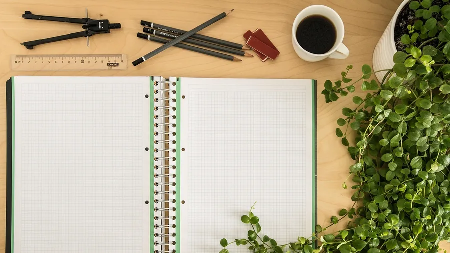 The Two-Week Study Plan Prompt