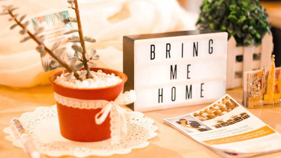 Short-term rental listings that book more nights