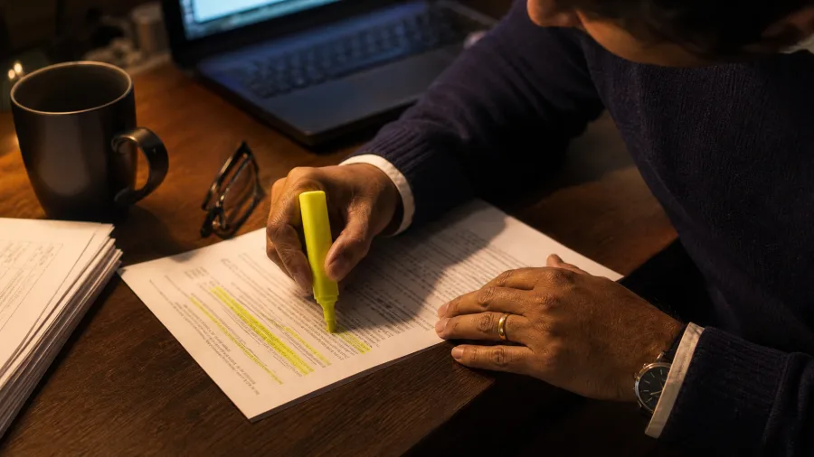 The rule writer prompt