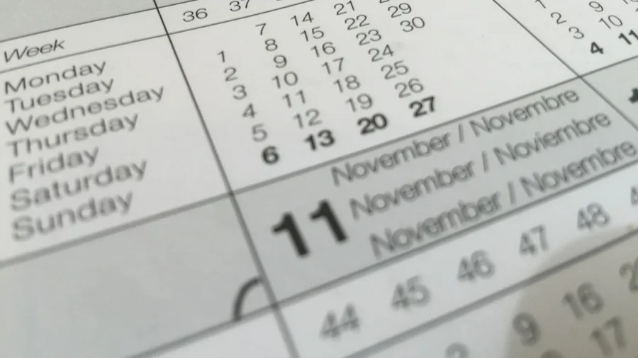 Nine weeks of zero before the first $84